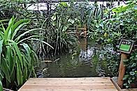 Blick auf den Urwaldsee im Café Tropencamp