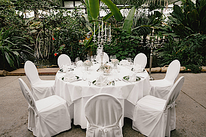 Hochzeit in den Tropen der Biosphäre Potsdam