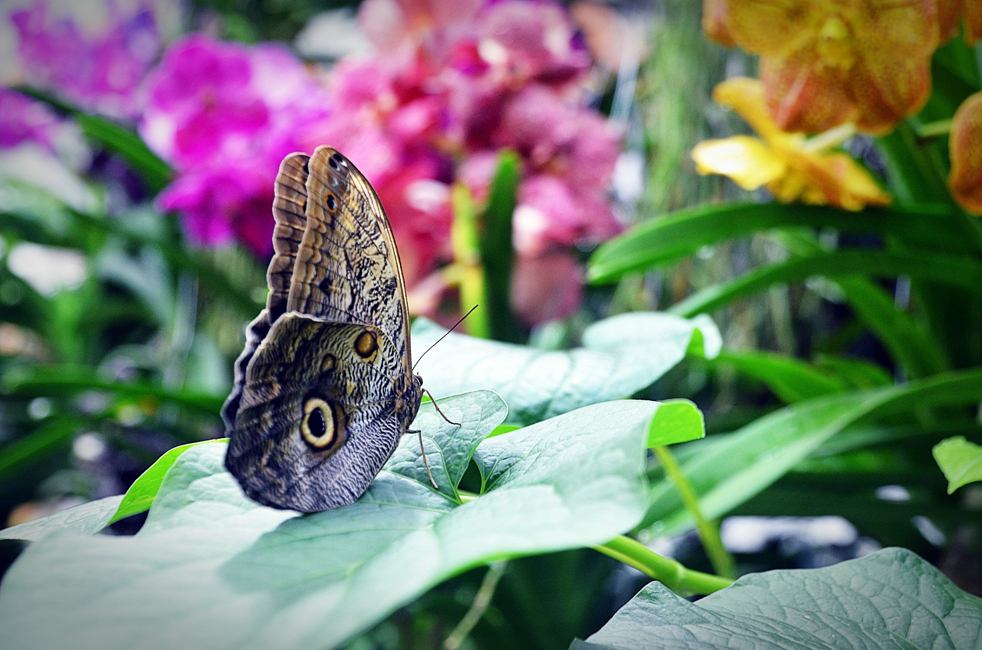 Führung in der Biosphäre Potsdam