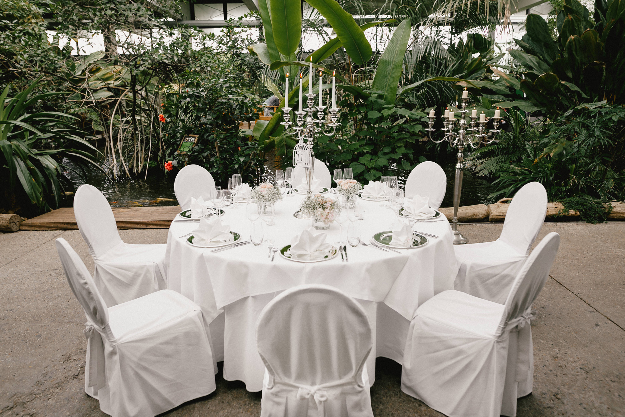 Hochzeit in den Tropen der Biosphäre Potsdam
