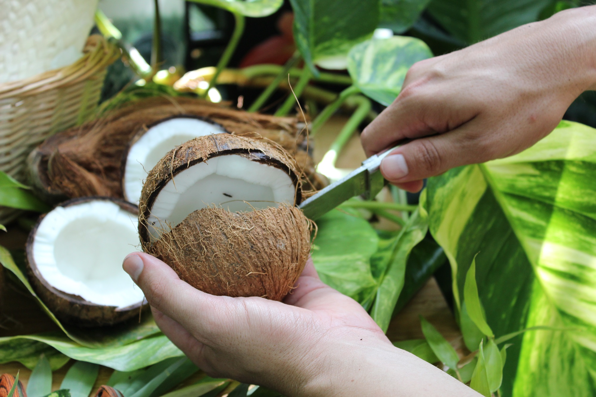 [Translate to English:] Teambuilding Incentive Biosphäre Potsdam