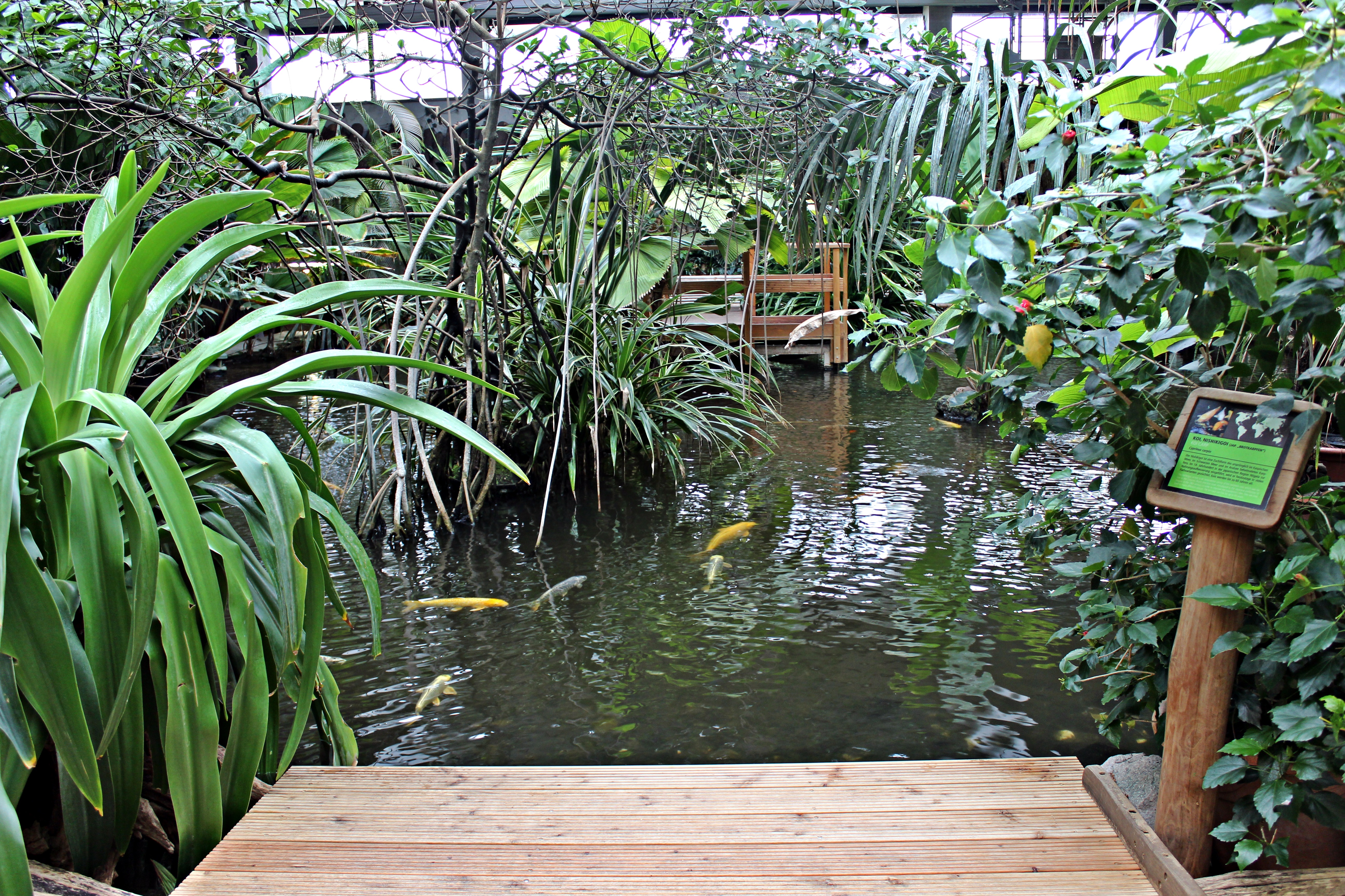Blick auf den Urwaldsee im Café Tropencamp